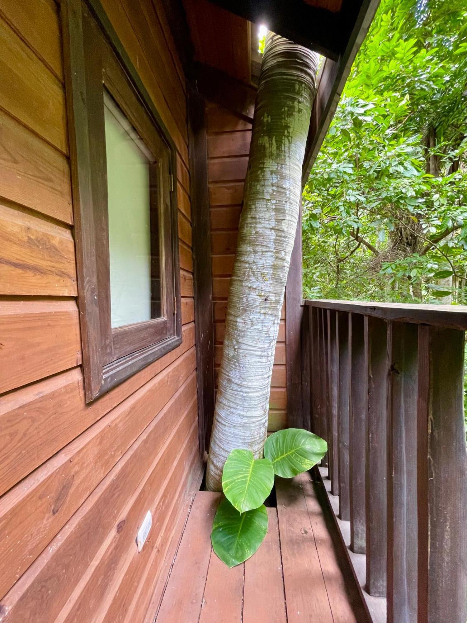 Platon Ecolodge Barahona Exterior photo